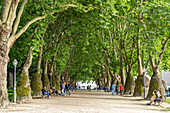 Avenue in João Chagas Park in Porto, Portugal, Europe