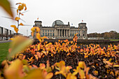 German Bundestag, Reichstag, colorful autumn leaves, Berlin, Germany