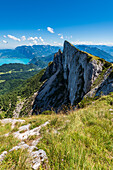 Blick vom Schafberg auf die Spinnerin, den Attersee und das Höllengebirge, Salzkammergut, Österreich