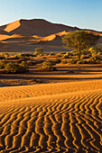 Afrika, Namibia, Namib-Wüste, Namib-Naukluft-Nationalpark, Sossusvlei. Malerische rote Dünen mit windgetriebenen Mustern im Vordergrund.