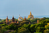 Antiker Tempel und Pagode, die sich aus dem Dschungel erheben, Bagan, Mandalay Region, Myanmar