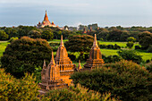 Alter Tempel und Pagode, die sich bei Sonnenaufgang aus dem Dschungel erheben, Bagan, Region Mandalay, Myanmar