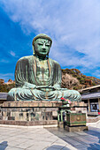 Das Daibutsu oder der große Buddha des buddhistischen Tempels in Kamakura, Japan.