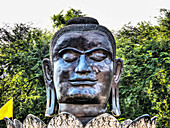 Southeast Asia, Ayutthaya, The giant head of the black Buddha in the Lotus petals at Wat Thammikarat