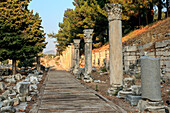 Türkei, Provinz Izmir, Selcuk, antike Stadt Ephesus, antikes Weltzentrum für Reisen und Handel an der Ägäis an der Mündung des Flusses Cayster. Columned Harbour Street in der Nähe der Agora.