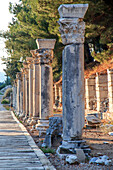 Türkei, Provinz Izmir, Selcuk, antike Stadt Ephesus, antikes Weltzentrum für Reisen und Handel an der Ägäis an der Mündung des Flusses Cayster. Säulenstraße.