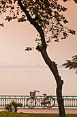 Vietnam, Hanoi. Tay Ho, West Lake, bicycle