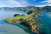 Quarantine Island und Otago Harbour, Dunedin, Otago, Südinsel, Neuseeland