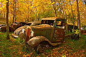 Canada, Manitoba, St. Lupicin. Vintage old vehicles in wrecking yard