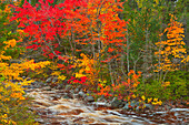 Kanada, Neuschottland. Mary-Anne Falls und Wald im Herbstlaub