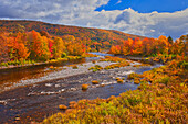 Canada, Nova Scotia, Cape Breton Island. The North River and forest in autumn foliage