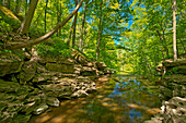 Canada, Ontario, Jordan. 16 Mile Creek at Louth Falls