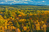 Kanada, Ontario, Neebing County. Wald im Herbst