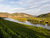 Blick von Weissenkirchen über die Donau Richtung Rossatz und Dürnstein in der Wachau. Die Wachau ist ein berühmter Weinberg und als Kulturlandschaft Wachau als UNESCO-Weltkulturerbe gelistet. Europa, Mitteleuropa, Österreich, Niederösterreich