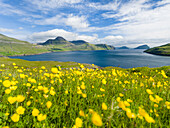 The mountains and cliffs of Streymoy with the Vestmannasund. Denmark, Faroe Islands