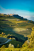 Autumn evening sunlight on the vineyards near Barolo with town of La Morra, Piemonte, Italy