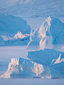 Eisberge, die im Winter im Meereis des Uummannaq-Fjordsystems eingefroren sind. Hintergrund ist die Halbinsel Nuussuaq, Grönland, Dänemark.