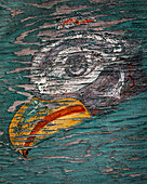 USA, Alaska, Pelican. Weathered painting of bird head