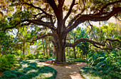 Florida Botanischer Garten, Washington Oaks State Park