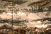 Tahquamenon River bei Sonnenaufgang, in der Nähe von Paradise, Michigan, obere Halbinsel.