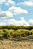 North sea dunes in Zeeland, the Netherlands.