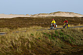 Radfahrer auf dem Ellenbogen, Sylt, Nordfriesland, Nordsee, Schleswig-Holstein, Deutschland