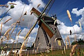 Windmill in fog on the island of Amrum, Wadden Sea National Park, North Friesland, North Sea coast, Schleswig-Holstein