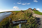 Westerwarft on the Hallig Hooge, Wadden Sea National Park, North Friesland, North Sea coast, Schleswig-Holstein