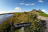 Westerwarft auf der Hallig Hooge, Nationalpark Wattenmeer, Nordfriesland, Nordseeküste, Schleswig-Holstein