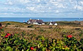 Kliffende bei Kampen, Sylt, Nordseeküste Schleswig-Holstein, Deutschland