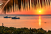 Fantastic sunset with palm trees and boats on the coast of Le Morne in the south of the island of Mauritius in the Indian Ocean
