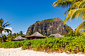 Beach huts and palm trees by the sea in front of the prominent Le Morne Brabant mountain in Mauritius, Indian Ocean
