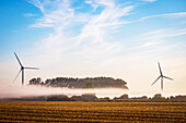 Windkraftraederim morning fog in Ostholstein, Schleswig-Holstein, Germany