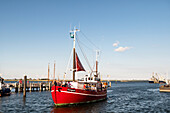 Fishing cutter Einigkeit on its way to the port of Heiligenhafen, Ostholstein, Schleswig-Holstein, Germany