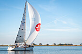 Sailing boat in the Baltic Sea in front of Heiligenhafen and the Graswarder, Ostholstein, Schleswig-Holstein, Germany