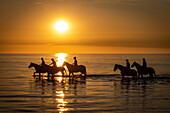 Riders in the sunset in the Baltic Sea, Ostholstein, Schleswig-Holstein Germany