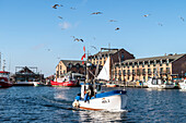 Fishing cutter in the port of Heiligenhafen, Baltic Sea, fishing, cutter, Ostholstein, Schleswig-Holstein