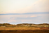 View of the salt marshes, dunes and the wide sky at the North Sea, Sankt-Peter-Ording, North Friesland, Schleswig-Holstein, Germany