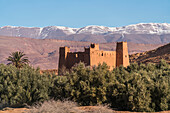 Kasbah im Dadestal, Boumalne, Königreich Marokko, Afrika
