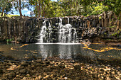 waterfall Rochester Falls near Souillac, Mauritius, Africa