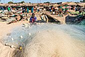 Fisherman repairing the net, Tanji, Gambia, West Africa
