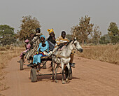 Senegalesische Familie reitet Pferdewagen zum nahe gelegenen Markt, in der Nähe von Toubacouta, Senegal, Januar