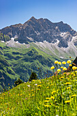 Großer Wilder, 2379m, Hochvogelgruppe und Rosszahngruppe, Allgäuer Alpen, Allgäu, Bayern, Deutschland, Europa
