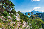 Blick von der Drachenwand zum Schafberg und zum Mondsee, Salzkammergut, Österreich