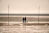 Two walkers with a dog in the mudflats near Dorum-Neufeld, Cuxhaven district, Lower Saxony, Germany