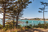 Jardin Exotique on the Ile de Batz, Finistere, Brittany, France