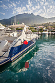 Yacht in the port of Lacco Ameno, Ischia Island, Gulf of Naples, Campania, Italy