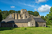 Ruinen der Abtei und Klosterkirche Hambye, Normandie, Frankreich