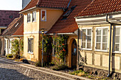 Alley in downtown Rudkoebing, Langeland Island, Denmark, Europe