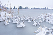 View of a frozen pond in winter, Buching, Allgäu, Bavaria, Germany, Europe